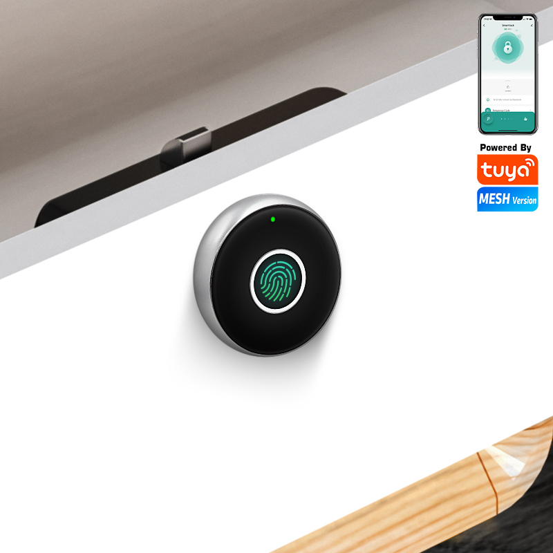 Tuya APP Fingerprint Biometric - Smart Home Or Smart Home ulasan dan harga