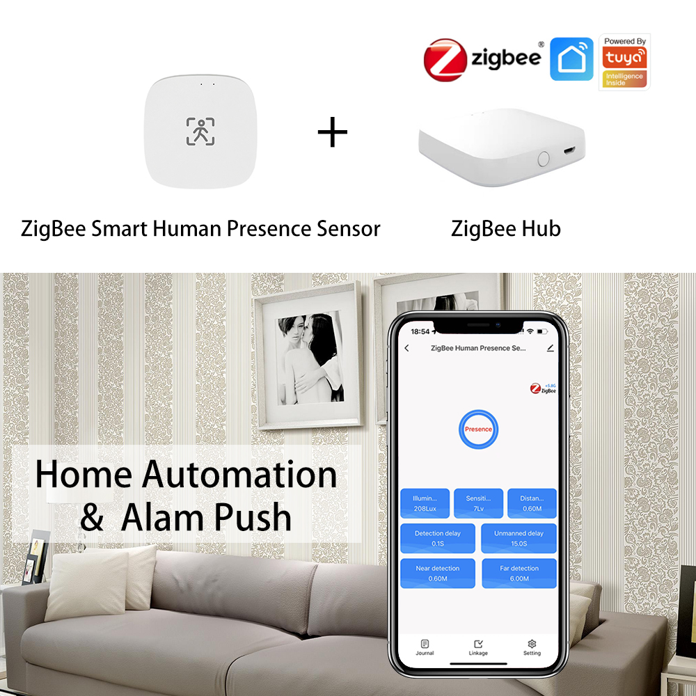 ZigBee Wifi MmWave Human Prese - Smart Home Web ulasan dan harga